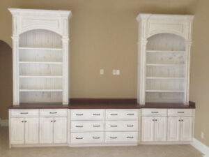 FirstFlight_Bookcase_1