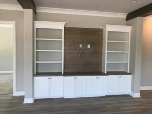 FirstFlight_Bookcase_5